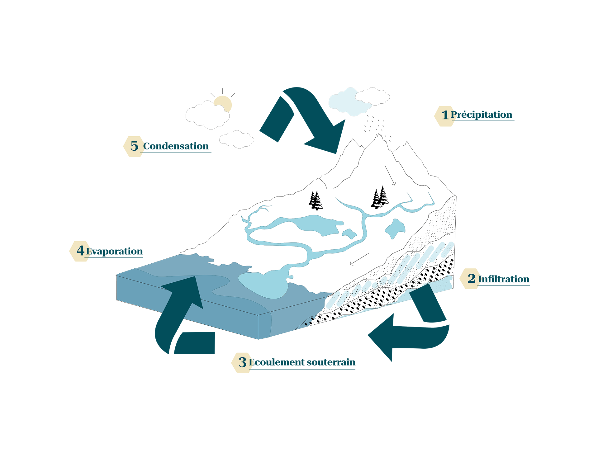 Schéma du cycle de l'eau