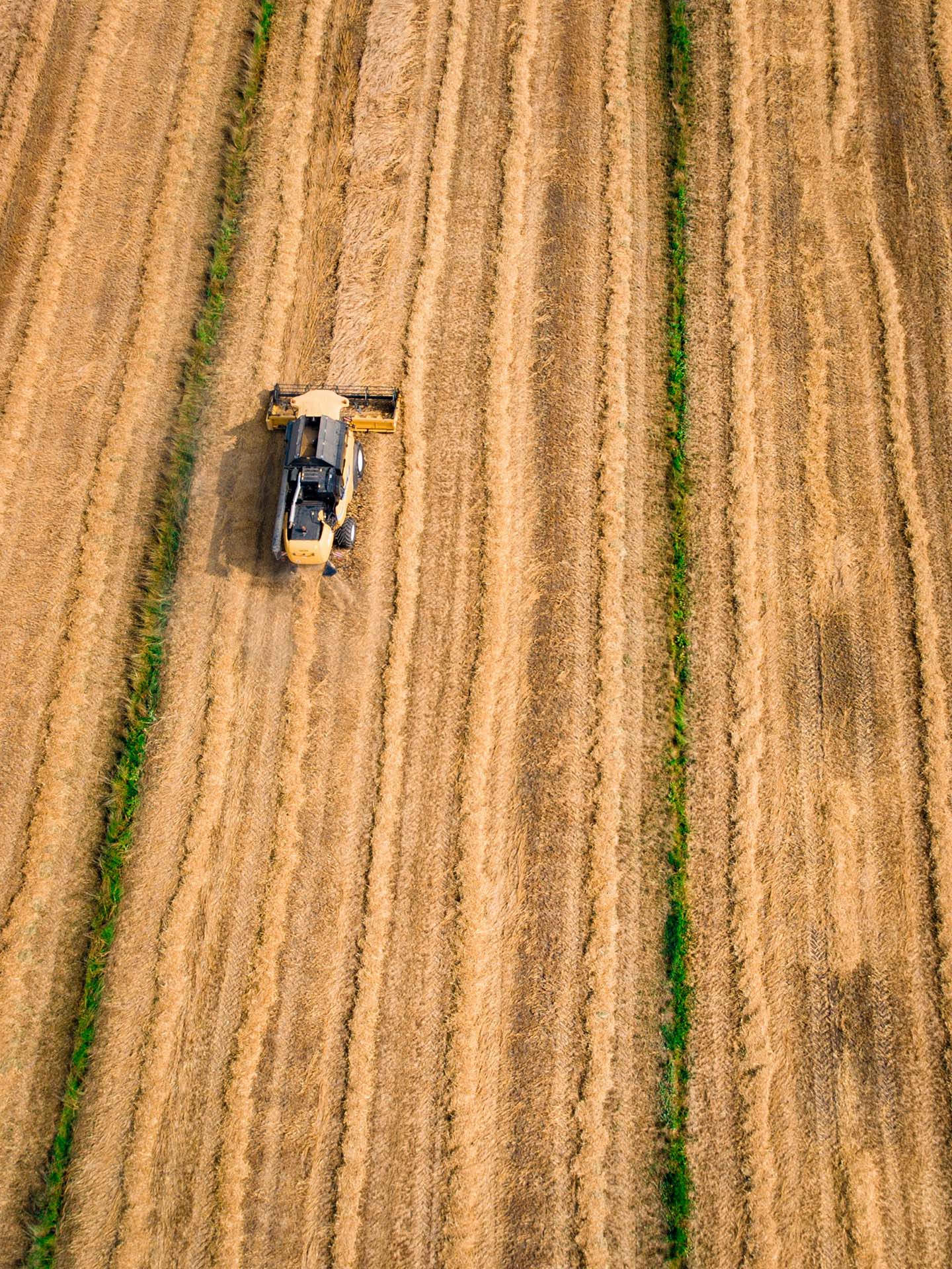 Tracteur dans un champ